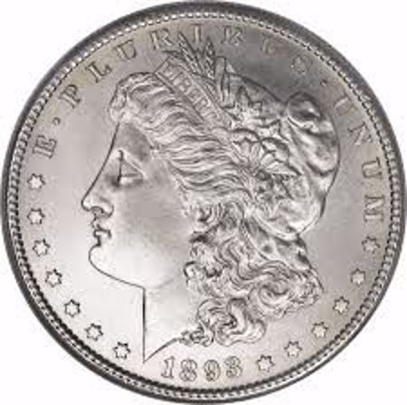 Picture for category Morgan Dollars