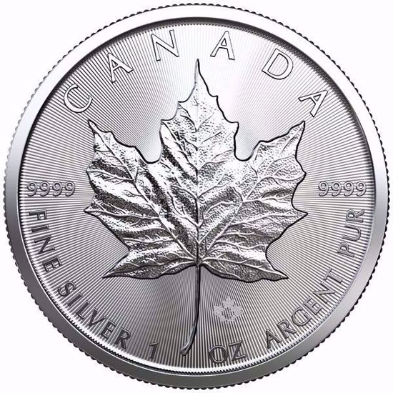 Picture of 2019 1 oz Canadian Silver Maple Leaf Mint Sealed Box