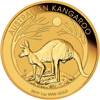 Picture of 2019 1 oz Australian Gold Kangaroo