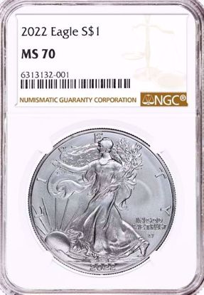 Picture of 2022 American Silver Eagle MS70 NGC Standard White Label