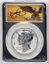 38155464_obverse