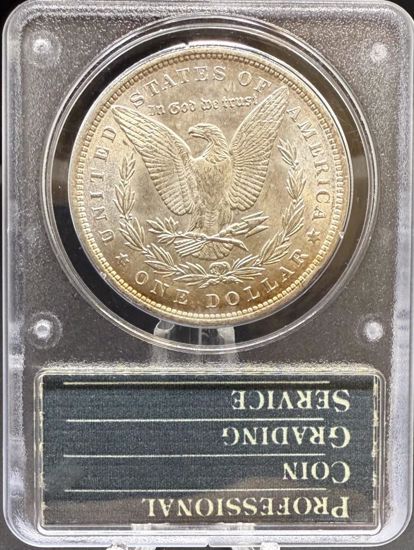 7242100_reverse