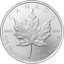 1-oz-palladium-maple-leaf--random-year-_obverse