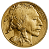 2024-1-oz-american-gold-buffalo_obverse