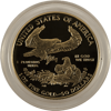 american-proof-gold-eagle-1-oz-american-gold-eagle-proof--capsule-only-_reverse
