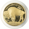 1-oz-american-gold-buffalo-proof--capsule-only-_reverse