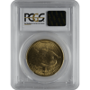 -20-u-s--gold-saint-pcgs64-no-motto_reverse