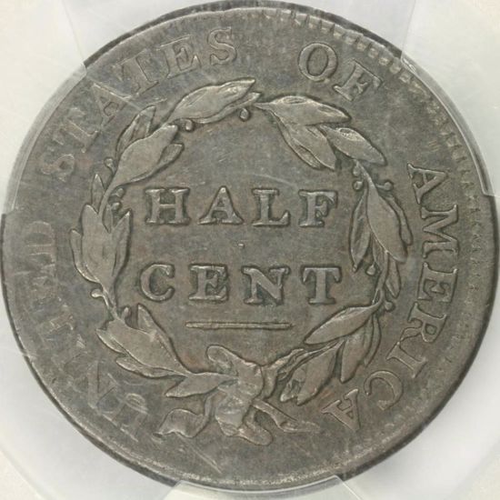 49178431_reverse