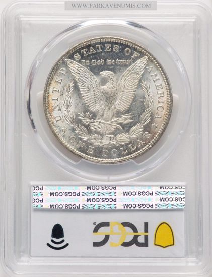 50573199_reverse