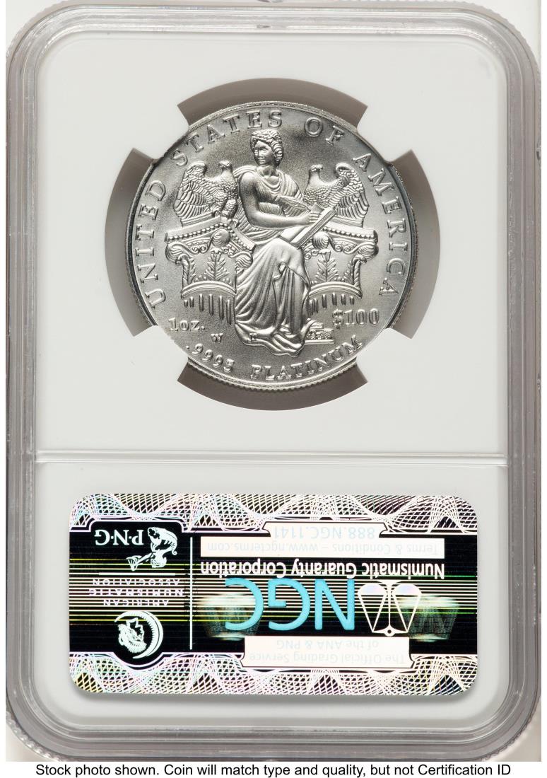 2006-W Burnished Platinum Eagle 1 oz ER Top 50 Most Popular Modern ...