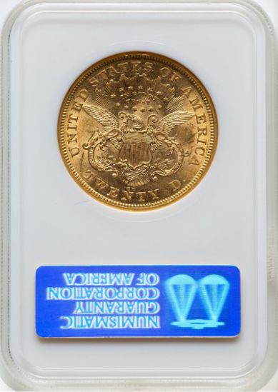 251652005_reverse