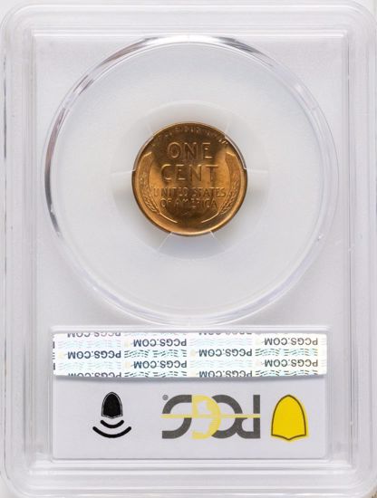 66319926_reverse