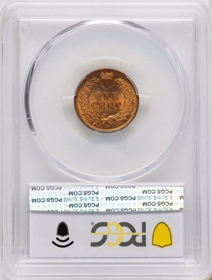 66398864_reverse