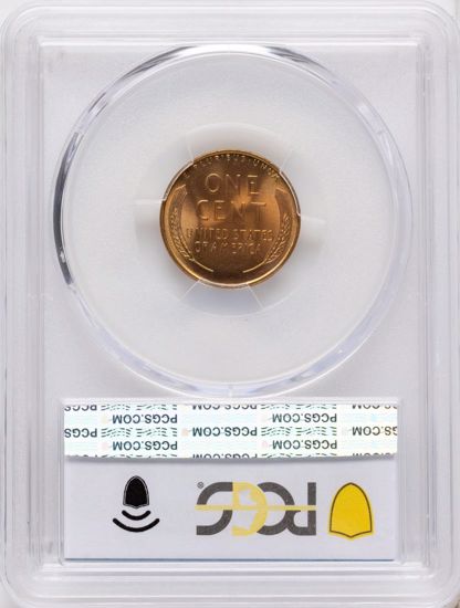 66321246_reverse